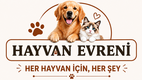 HAYVAN EVRENİ